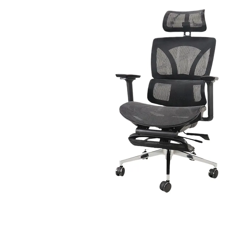 Home Office Design - 루이징시 인체공학적 사무용 의자, 가정용 편안한